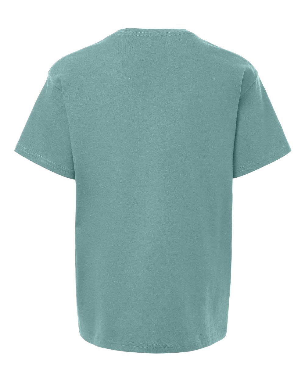 Gildan 5000B Aquatic back